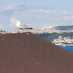 Ali Pasha 4* Стамбул