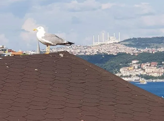 Ali Pasha 4* Istanboel