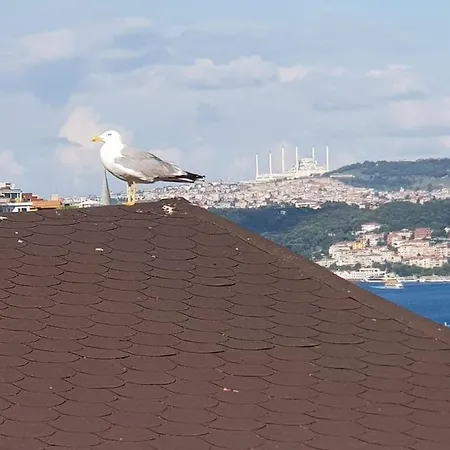 Ali Pasha 4* Isztambul
